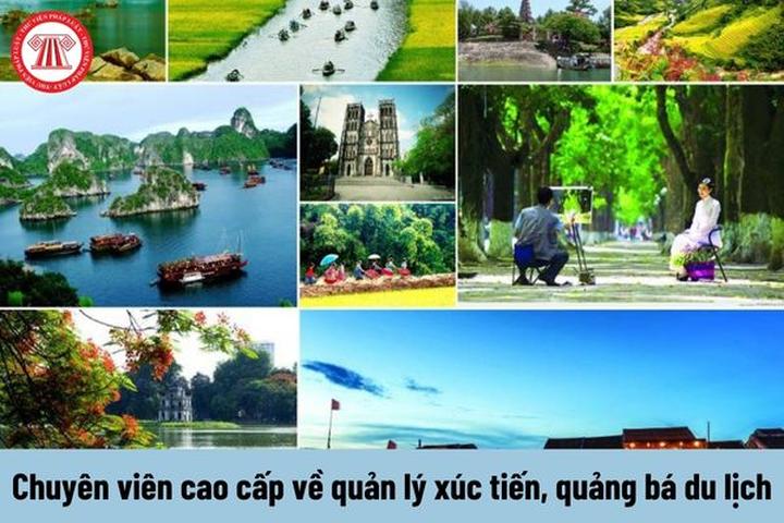 Xu hướng HOT: Trấn Thành chính thức: Hotspot Matrix tiết lộ bí quyết video viral