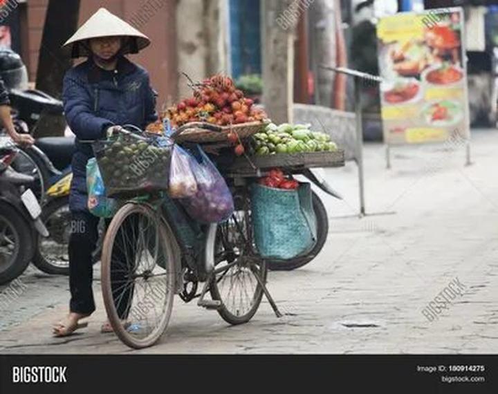 Bonobo: Nguồn Gốc Tiến Hóa Của Ngôn Ngữ Con Người?