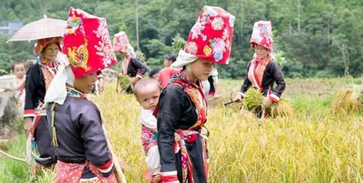 Loại cá được khen 