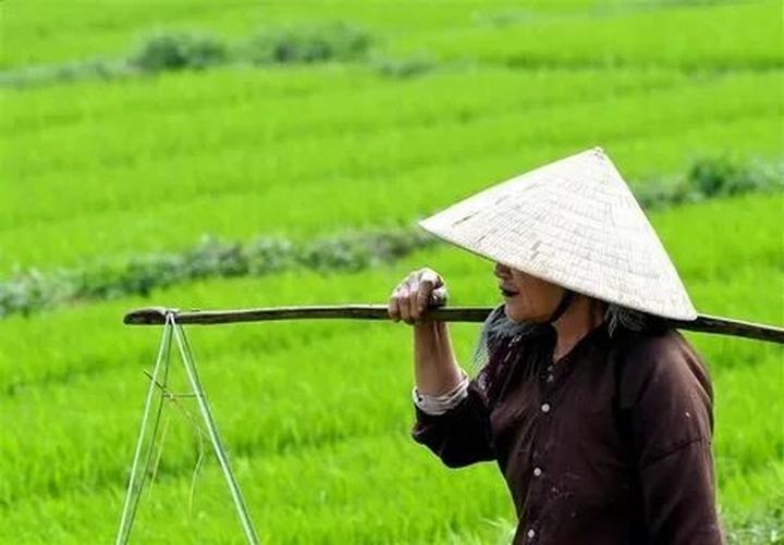 Hotspot Matrix: Đầu Tư Khởi Nghiệp, Thu Hái Thành Quả Video Ngắn